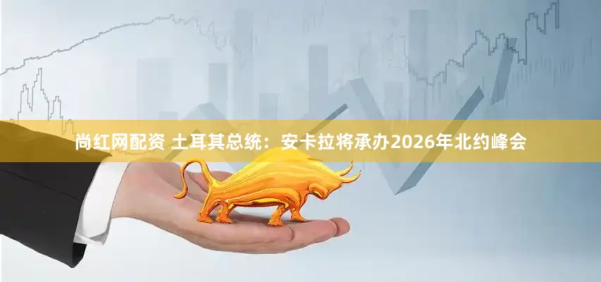 尚红网配资 土耳其总统：安卡拉将承办2026年北约峰会