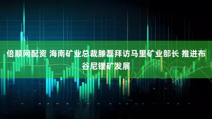 倍顺网配资 海南矿业总裁滕磊拜访马里矿业部长 推进布谷尼锂矿发展