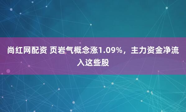 尚红网配资 页岩气概念涨1.09%，主力资金净流入这些股